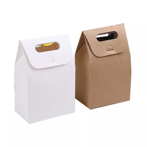 Plain White / Brown Kraft Paper Bag with Flap and Handle
